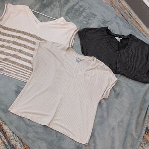 Tommy Bahama Women's V-Neck Tops - Black, Gray, Cream